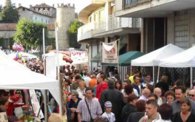 Fiera del Castello 2015 – Informazione espositori